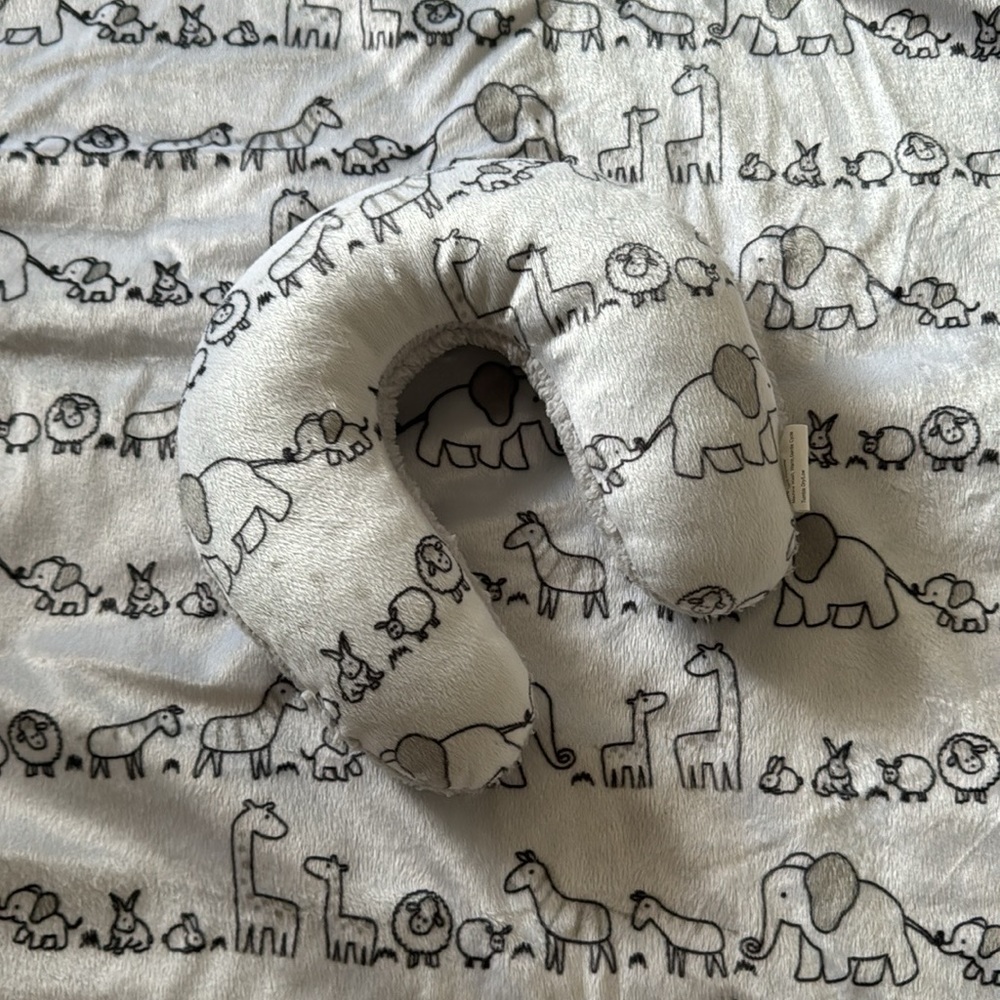Baby blanket and head support pillow